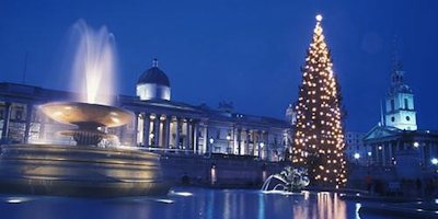 英國聖誕節象徵 Trafalgar Square Christmas Tree