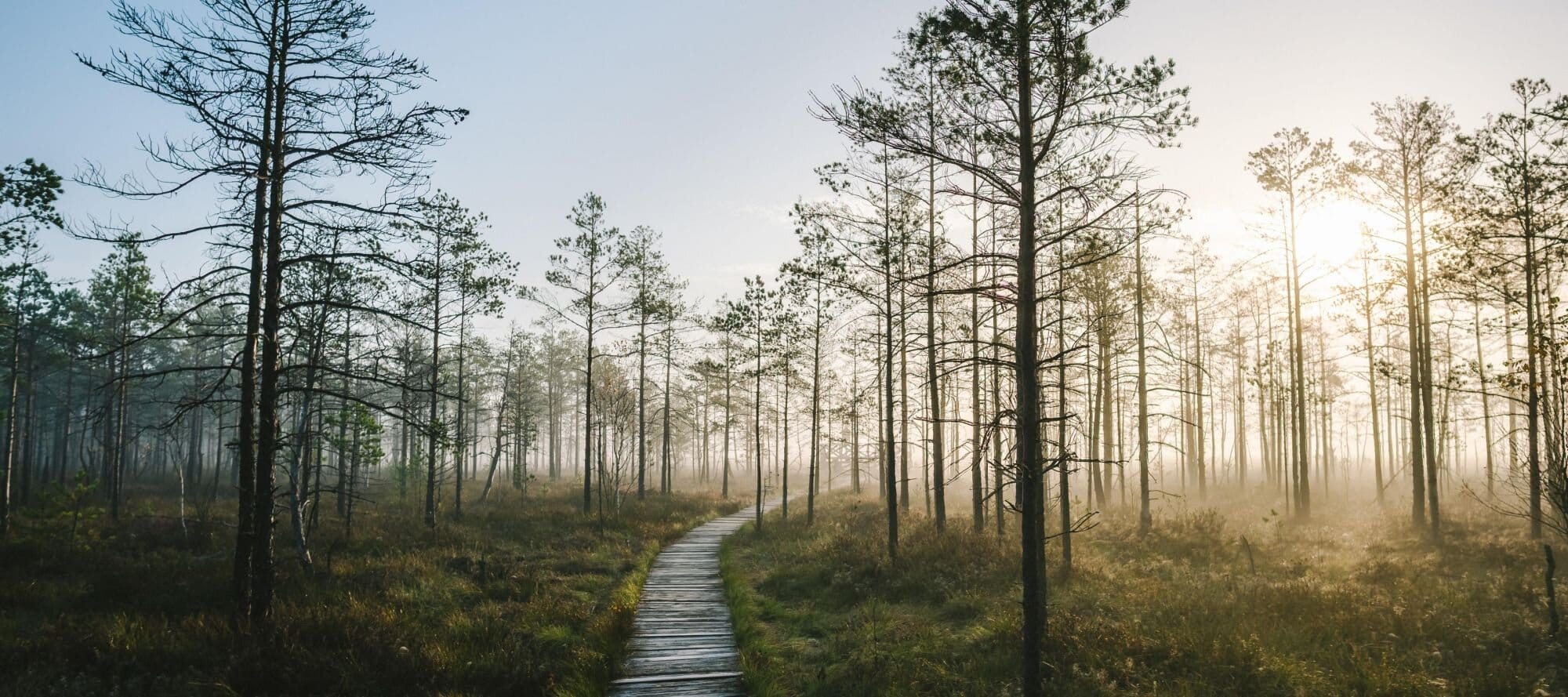 立陶宛火車通行證