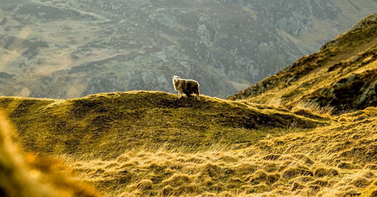 英倫高地湖區饗宴 9 晚
